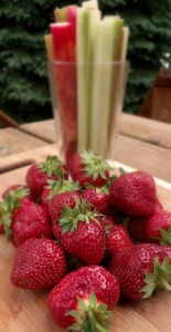 strawberries & rhubarb